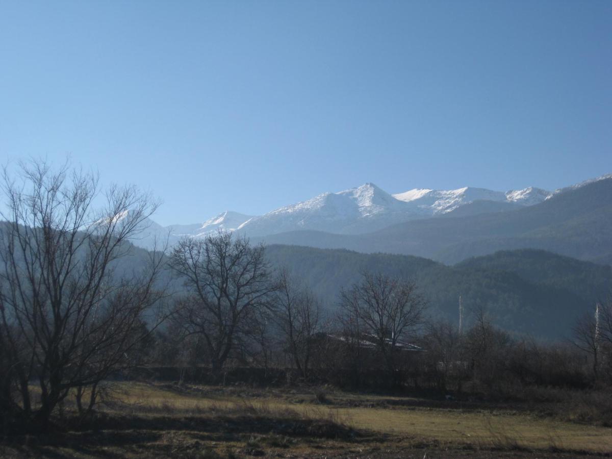Villa цветелина, комплекс александриa Dobrinishte
